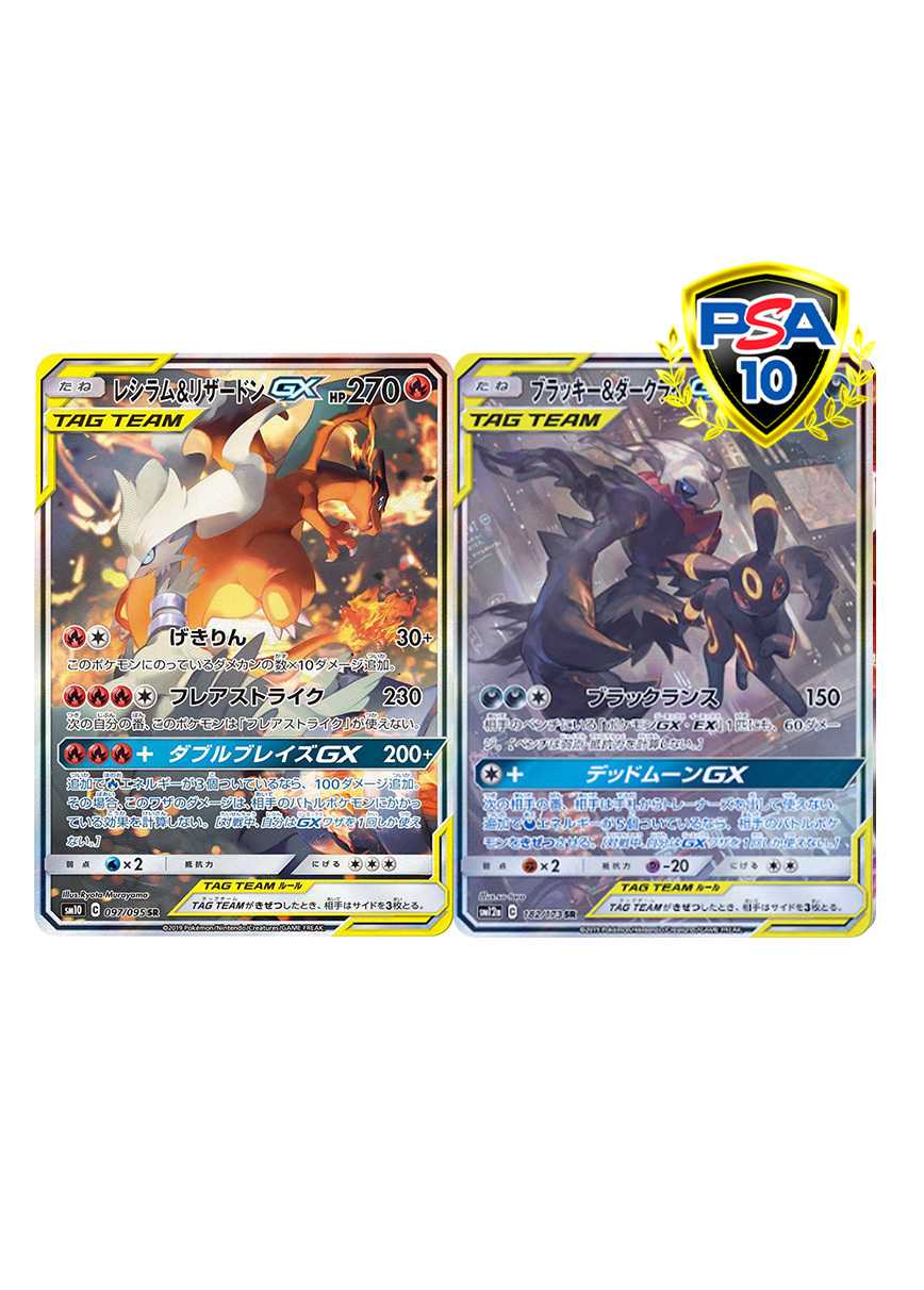 [2枚セット]レシリザ＆ブラダクセット
