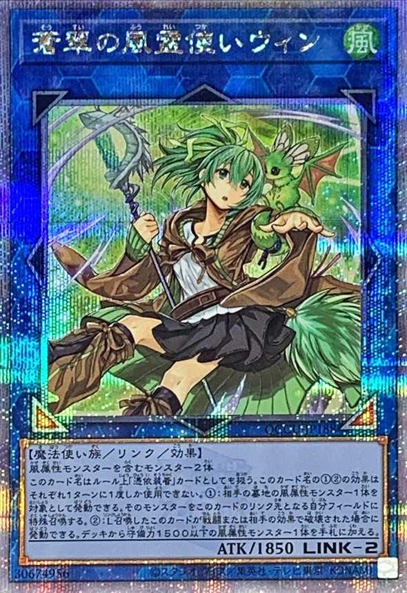 蒼翠の風霊使いウィン