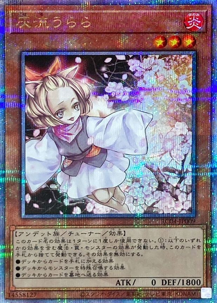 灰流うらら