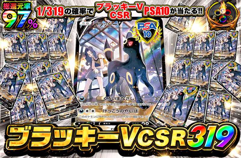 ブラッキーV CSR 319