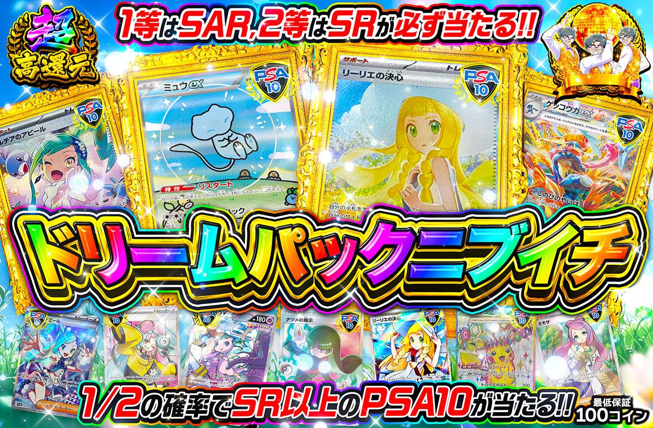 ドリームパックニブイチ