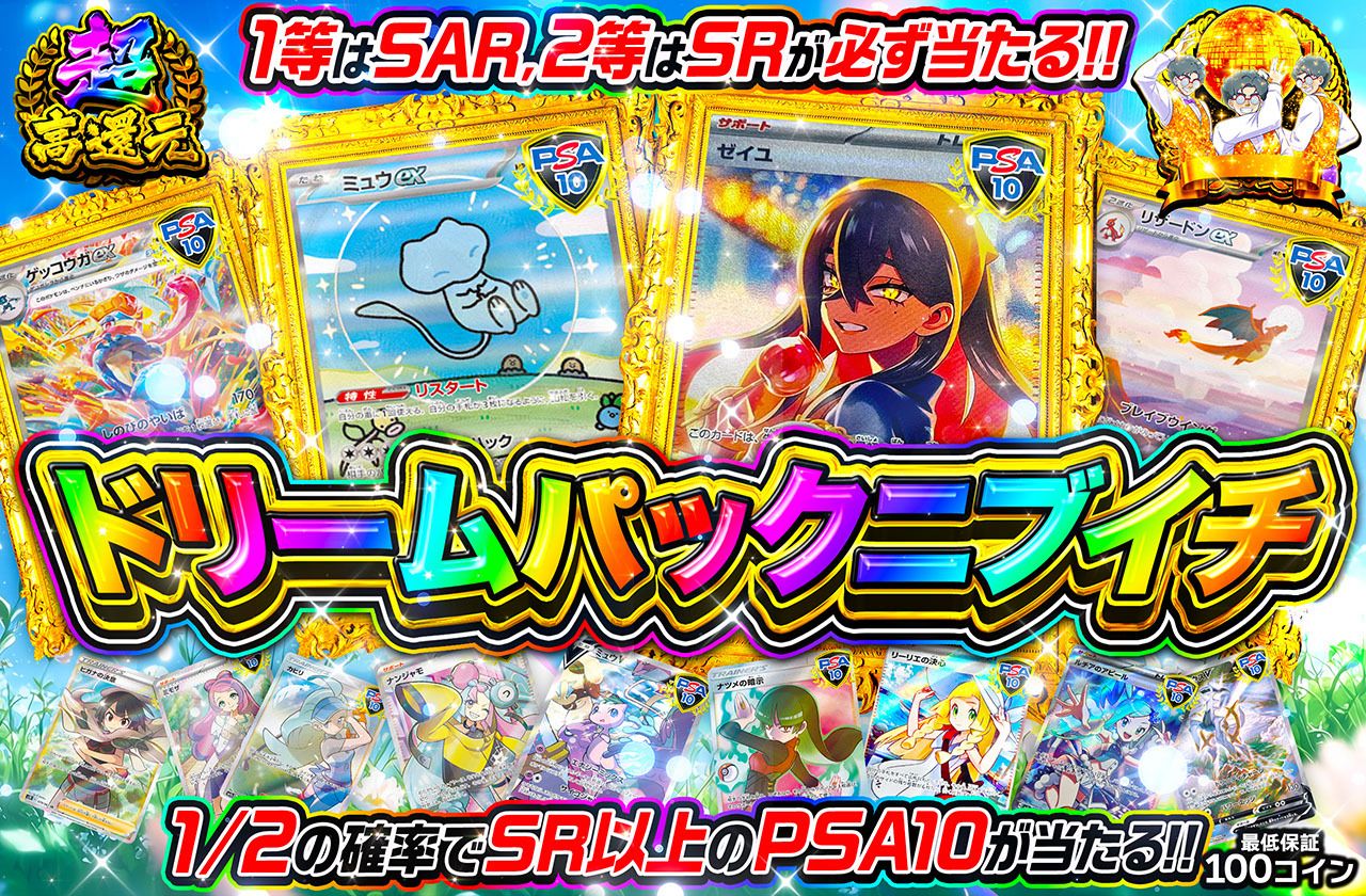 ドリームパックニブイチ