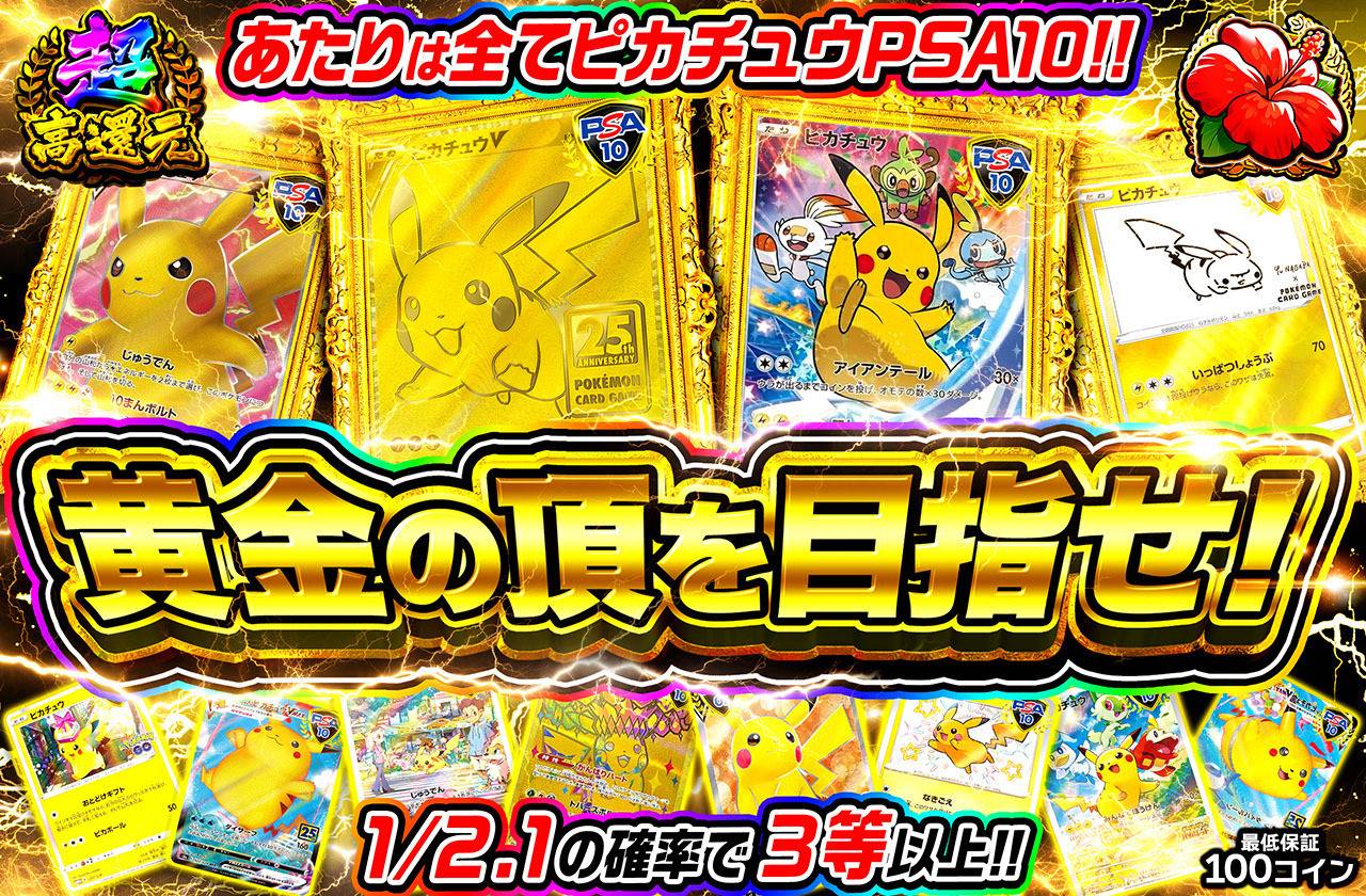 黄金の頂を目指せ！