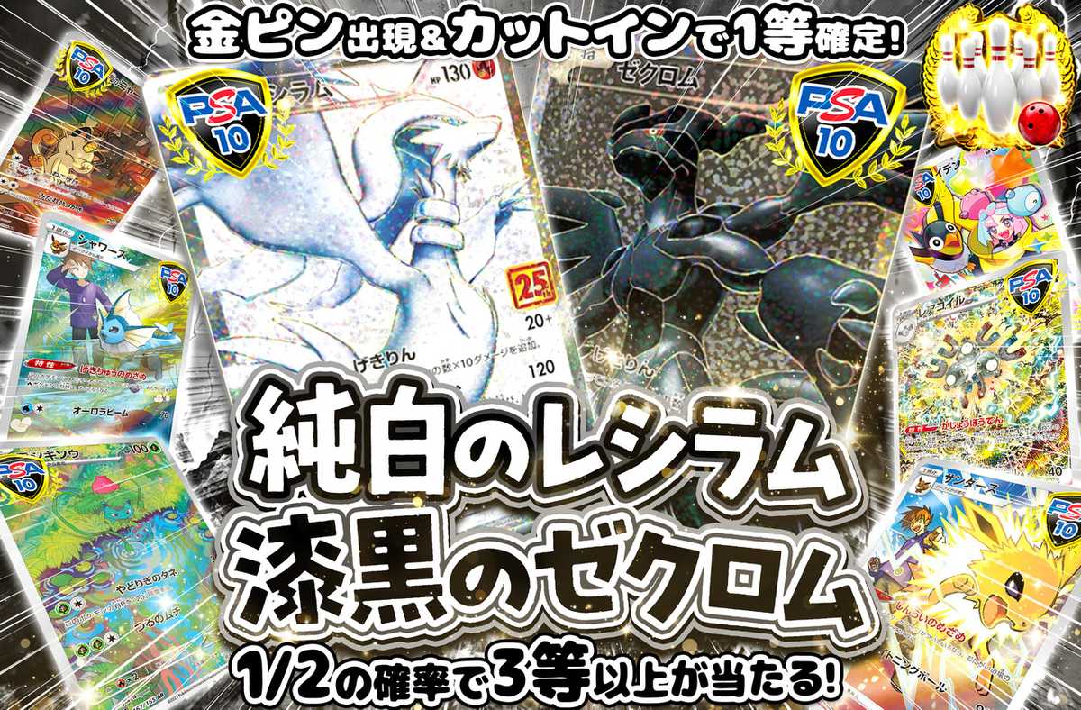 純白のレシラム、漆黒のゼクロム