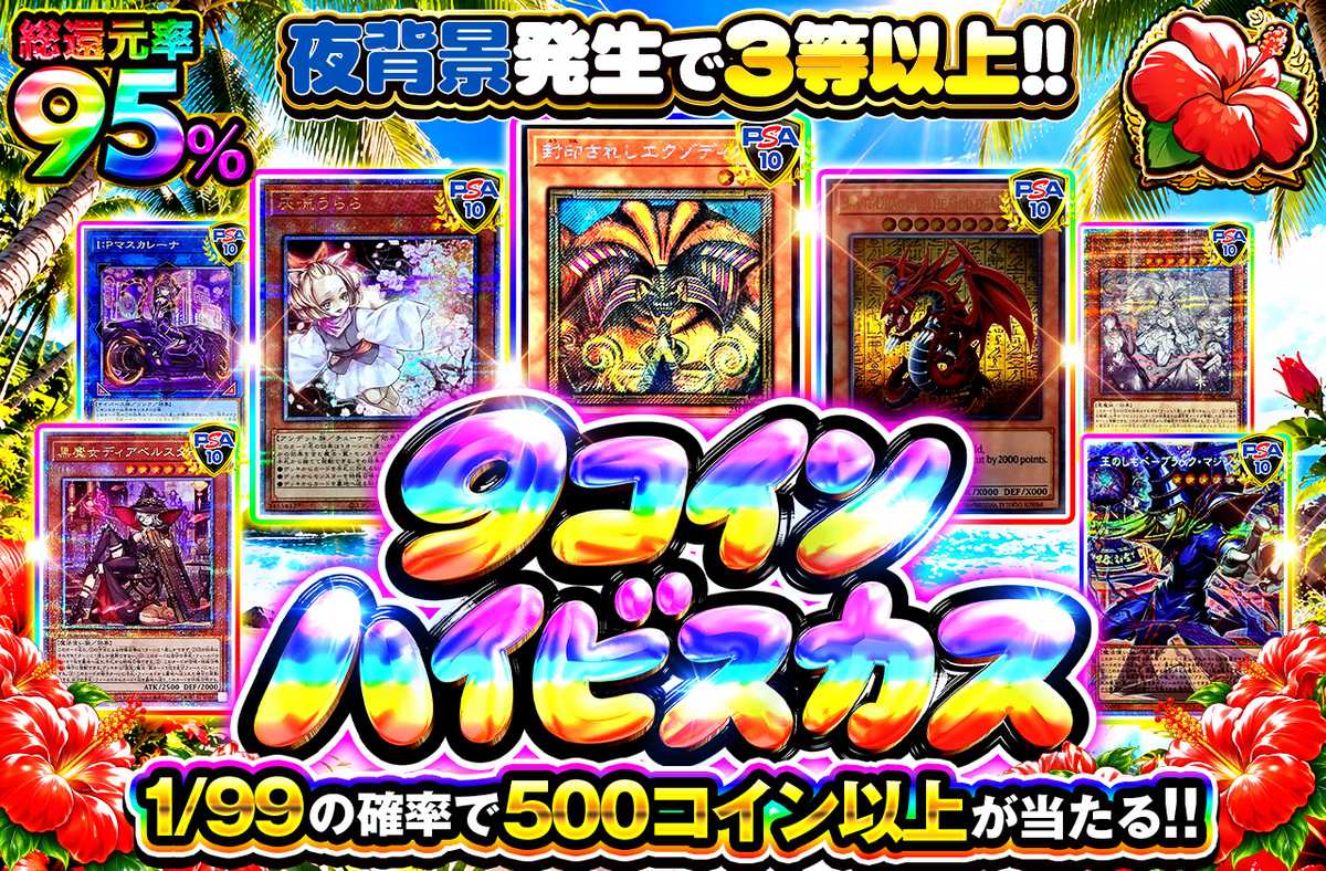 9コインハイビスカス