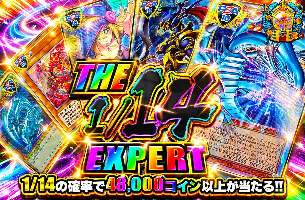 THE 1/14 EXPERT
