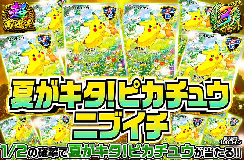 夏が来たピカチュウニブイチ（販売終了）