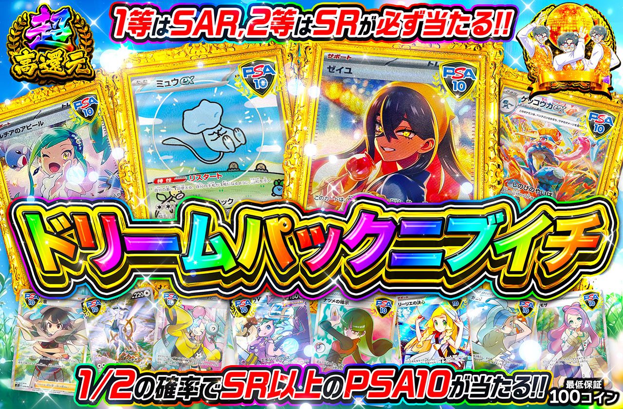 ドリームパックニブイチ