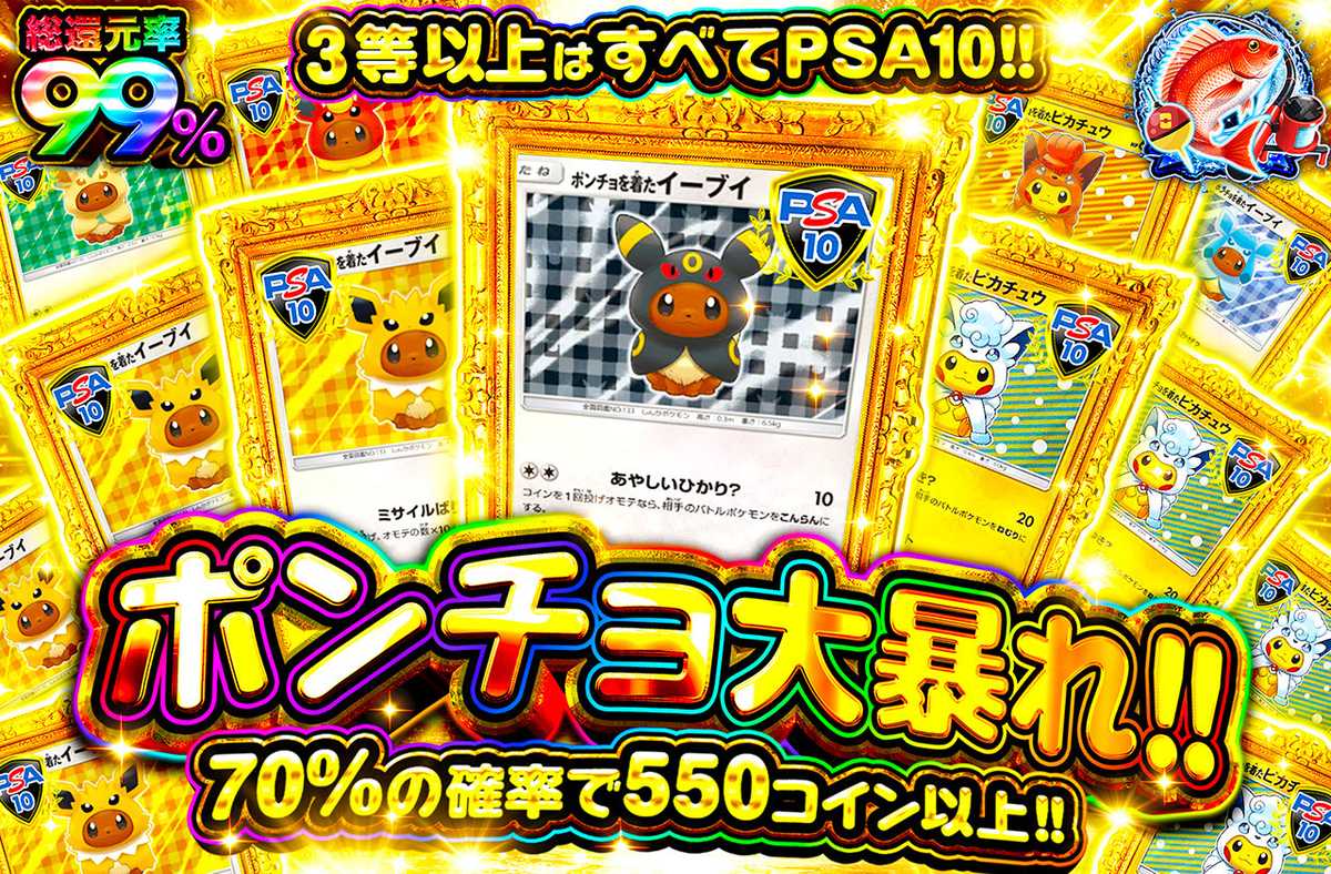 ポンチョ大暴れ!!