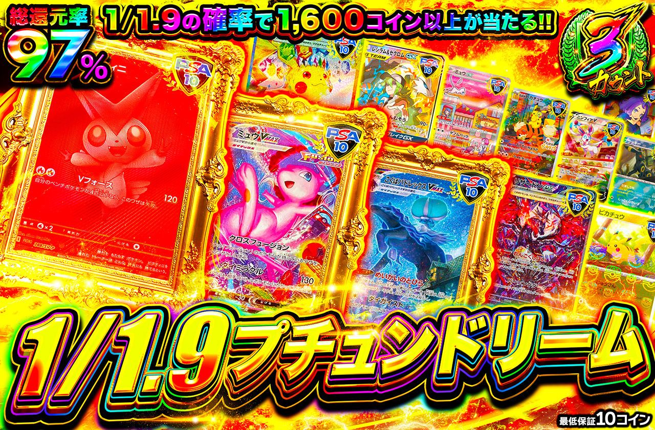 1/1.9プチュンドリーム（販売終了）