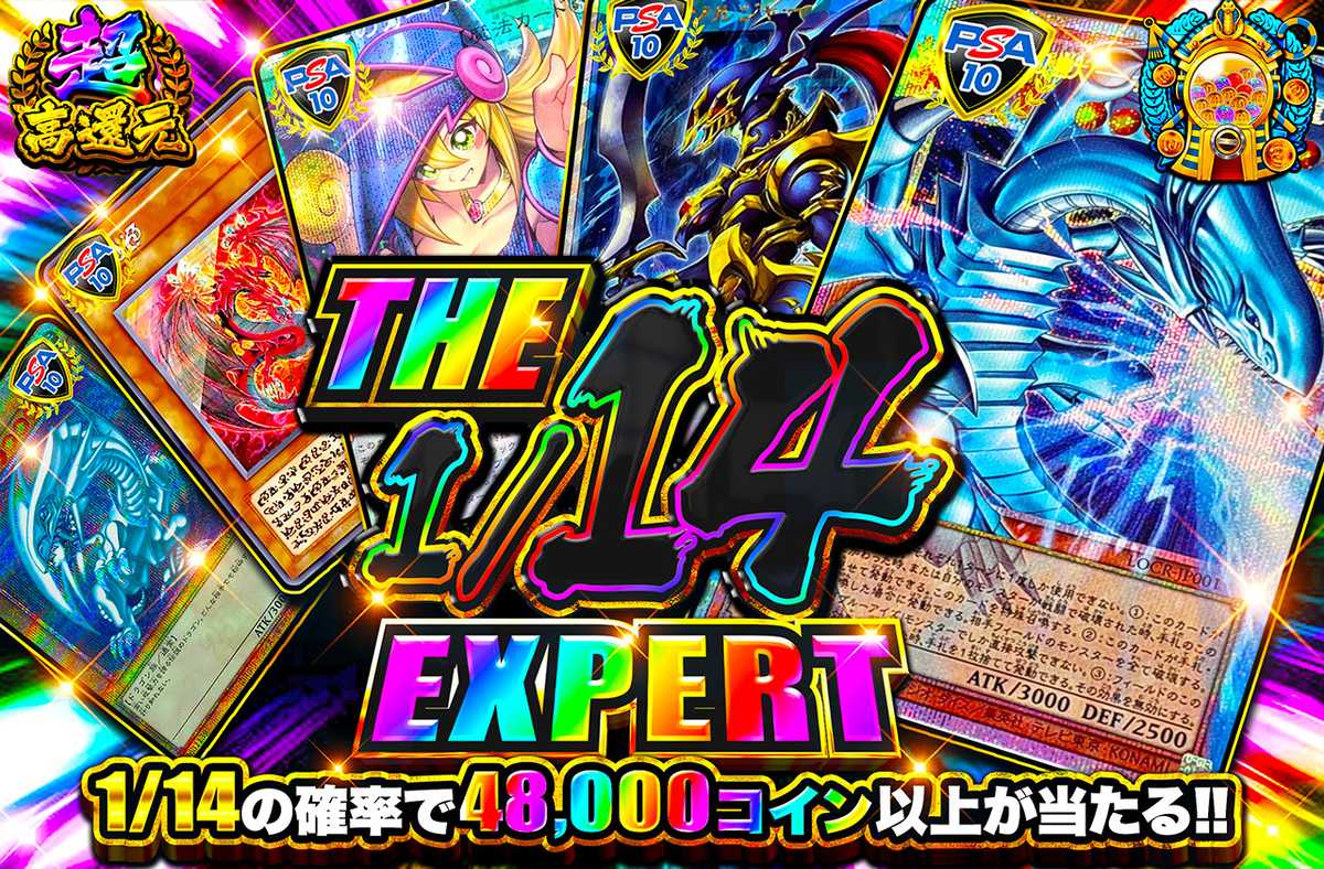 THE 1/14 EXPERT