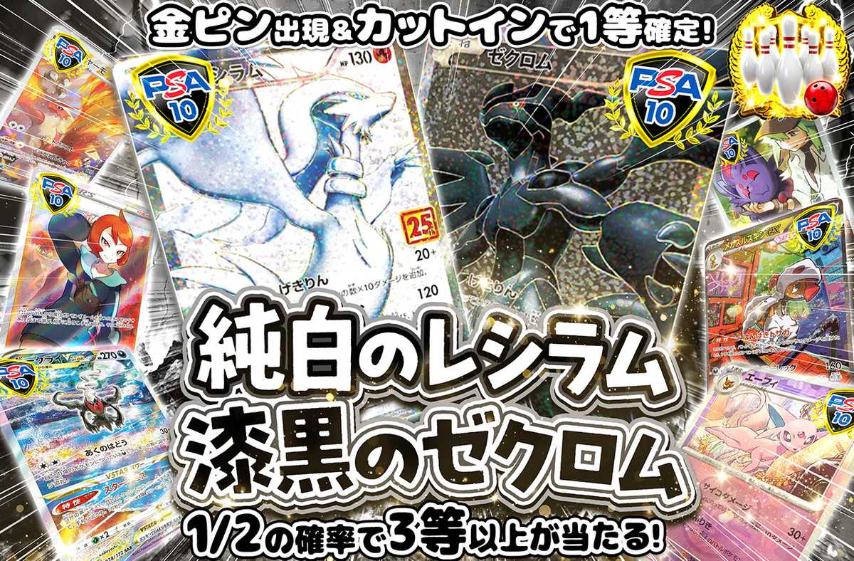 純白のレシラム、漆黒のゼクロム