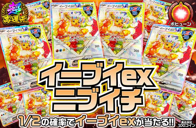 イーブイexSAR(フルーツ)ニブイチ（販売終了）