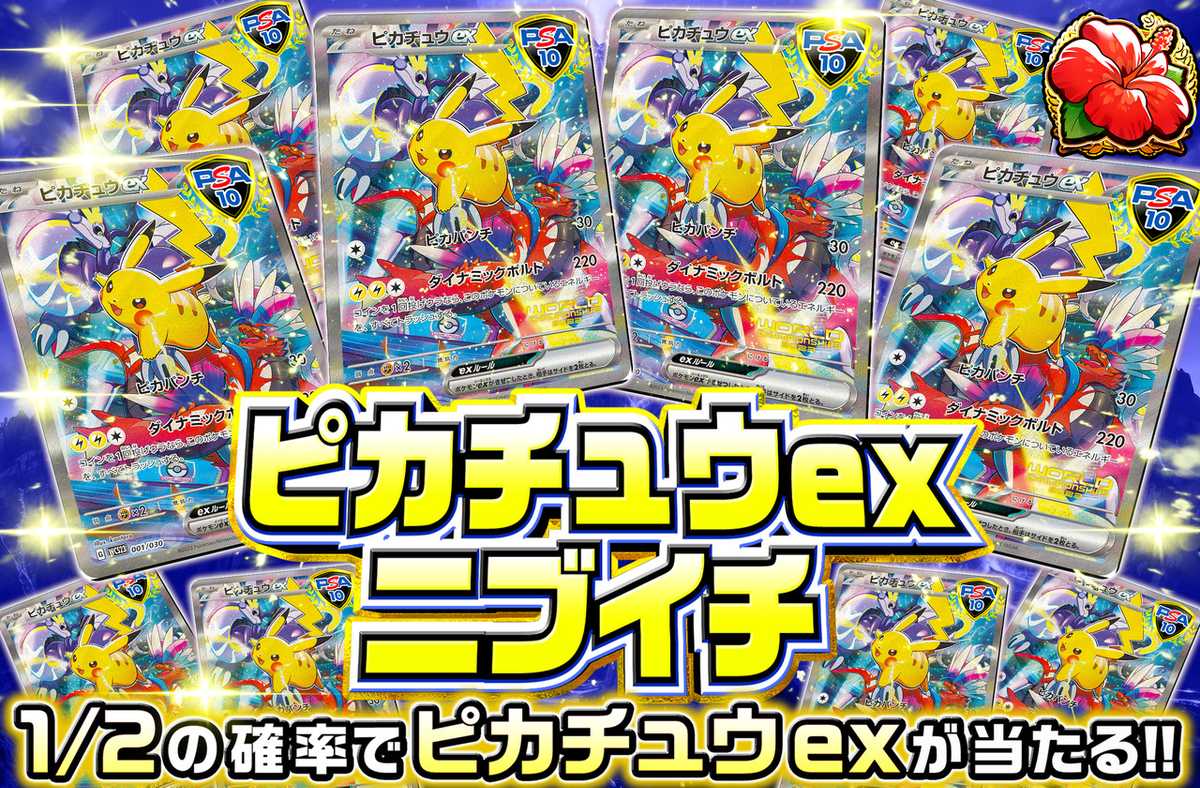 ピカチュウexニブイチ