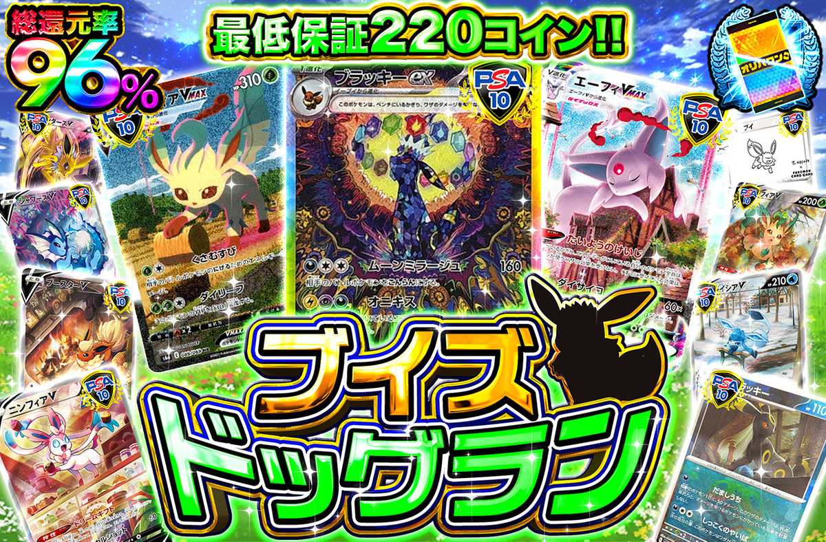 ブイズドッグラン